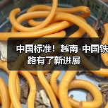 中国标准！越南-中国铁路有了新进展（图3）