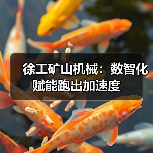 徐工矿山机械:数智化赋能跑出加速度(图2) 徐工矿山机械:数智化赋能跑出加速度(图2)