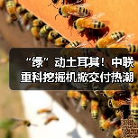 “绿”动土耳其!中联重科挖掘机掀交付热潮(图2) “绿”动土耳其!中联重科挖掘机掀交付热潮(图2)
