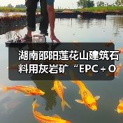 湖南邵阳莲花山建筑石料用灰岩矿“EPC＋O”项目正式开工（图4）