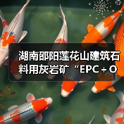 湖南邵阳莲花山建筑石料用灰岩矿“EPC＋O”项目正式开工（图1）