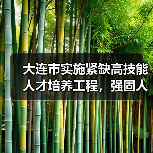 大连市实施紧缺高技能人才培养工程,强固人才培育平台(图2) 大连市实施紧缺高技能人才培养工程,强固人才培育平台(图2)