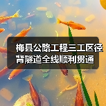 梅县公路工程三工区径背隧道全线顺利贯通（图1）