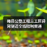 梅县公路工程三工区径背隧道全线顺利贯通（图3）