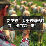 新突破!太重破碎站迎来“出口第一单”(图3) 新突破!太重破碎站迎来“出口第一单”(图3)