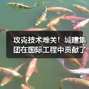 攻克技术难关！城建集团在国际工程中贡献了中国智慧（图2）