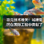 攻克技术难关！城建集团在国际工程中贡献了中国智慧（图3）