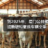 到2025年，厦门公共领域新增和更换车辆全采用纯电动汽车（图3）