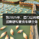 到2025年，厦门公共领域新增和更换车辆全采用纯电动汽车（图1）