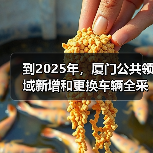 到2025年，厦门公共领域新增和更换车辆全采用纯电动汽车（图4）