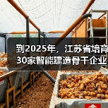 到2025年，江苏省培育30家智能建造骨干企业（图1）