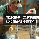 到2025年，江苏省培育30家智能建造骨干企业（图4）