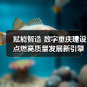 赋能智造 数字重庆建设点燃高质量发展新引擎(图1) 赋能智造 数字重庆建设点燃高质量发展新引擎(图1)