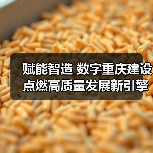 赋能智造 数字重庆建设点燃高质量发展新引擎(图3) 赋能智造 数字重庆建设点燃高质量发展新引擎(图3)