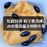 赋能智造 数字重庆建设点燃高质量发展新引擎(图2) 赋能智造 数字重庆建设点燃高质量发展新引擎(图2)