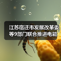 江苏宿迁市发展改革委等9部门联合推进电能替代工作（图3）