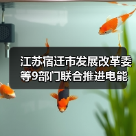 江苏宿迁市发展改革委等9部门联合推进电能替代工作（图1）