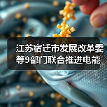 江苏宿迁市发展改革委等9部门联合推进电能替代工作（图4）