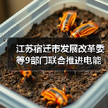 江苏宿迁市发展改革委等9部门联合推进电能替代工作（图2）