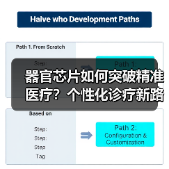器官芯片如何突破精准医疗?个性化诊疗新路径探索(图4) 器官芯片如何突破精准医疗?个性化诊疗新路径探索(图4)