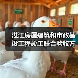 湛江房屋建筑和市政基设工程竣工联合验收方案征意!(图4) 湛江房屋建筑和市政基设工程竣工联合验收方案征意!(图4)