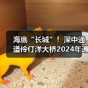 海底“长城”！深中通道伶仃洋大桥2024年通车（图2）