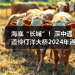 海底“长城”！深中通道伶仃洋大桥2024年通车（图3）