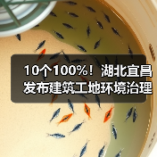10个100%！湖北宜昌发布建筑工地环境治理标准图例（图3）