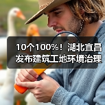 10个100%！湖北宜昌发布建筑工地环境治理标准图例（图1）