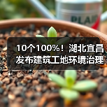 10个100%！湖北宜昌发布建筑工地环境治理标准图例（图4）