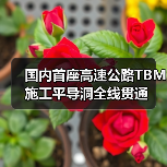 国内首座高速公路TBM施工平导洞全线贯通（图4）