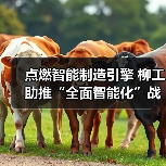 点燃智能制造引擎 柳工助推“全面智能化”战略落地（图3）