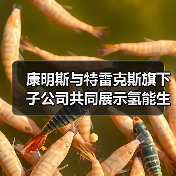 康明斯与特雷克斯旗下子公司共同展示氢能生态系统（图1）
