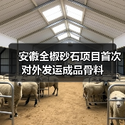 安徽全椒砂石项目首次对外发运成品骨料（图4）