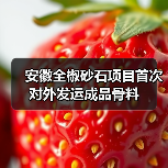 安徽全椒砂石项目首次对外发运成品骨料（图2）