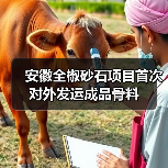 安徽全椒砂石项目首次对外发运成品骨料（图3）