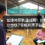 加速片区轨道成网！长沙地铁7号线井湾子站主体结构封顶（图4）