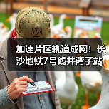 加速片区轨道成网！长沙地铁7号线井湾子站主体结构封顶（图3）