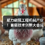 聚力做强工程机械产业！首届技术创新大会成功举办（图4）