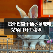 贵州省首个抽水蓄能电站项目开工建设（图3）