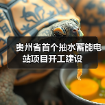 贵州省首个抽水蓄能电站项目开工建设（图4）