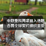 中联重科两项目入选联合国全球契约组织重要成果(图1) 中联重科两项目入选联合国全球契约组织重要成果(图1)