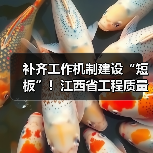 补齐工作机制建设“短板”！江西省工程质量监管规定出台（图3）