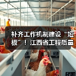 补齐工作机制建设“短板”！江西省工程质量监管规定出台（图4）