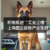 积极推进“工业上楼” 上海国企助推产业集群集聚集约发展（图4）