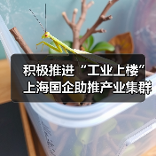 积极推进“工业上楼” 上海国企助推产业集群集聚集约发展（图2）