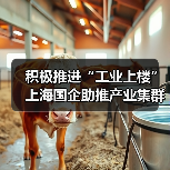 积极推进“工业上楼” 上海国企助推产业集群集聚集约发展（图1）