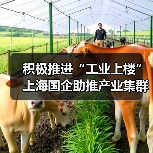 积极推进“工业上楼” 上海国企助推产业集群集聚集约发展（图3）