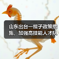 山东出台一揽子政策措施，加强高技能人才队伍建设（图2）