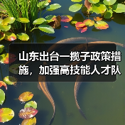 山东出台一揽子政策措施，加强高技能人才队伍建设（图3）